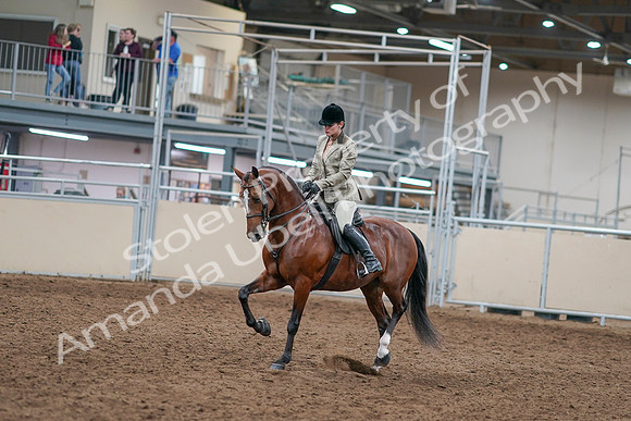 2020 - AB Morgan Horse - Sat, Sept 05 - 14344