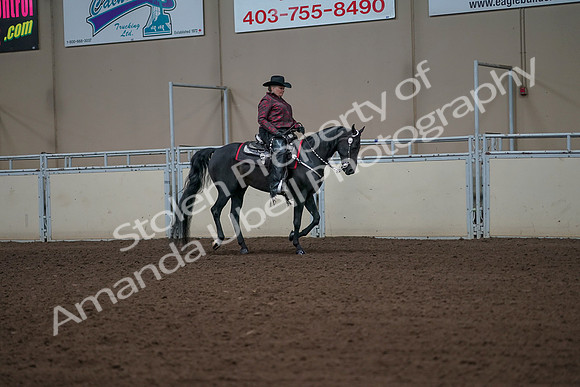 2019 Morgan Horse Show - Aug 31, 2019 - 10705