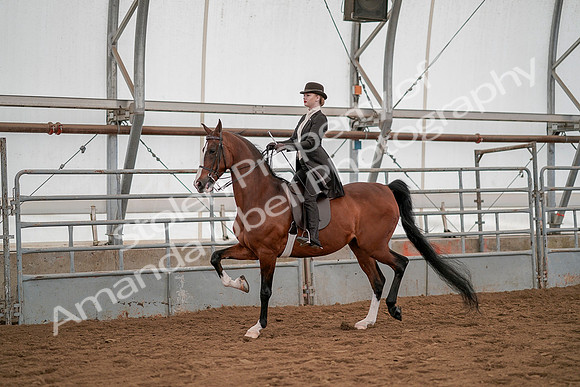 July 19, 2019 - 4223