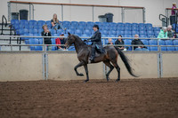 2019 Morgan Horse Show - Aug 30, 2019 - 15284