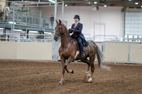 2020 - AB Morgan Horse - Sat, Sept 05 - 06042