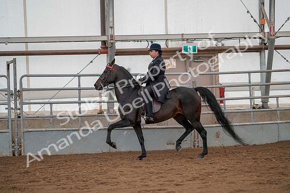 July 20, 2019 - 04504