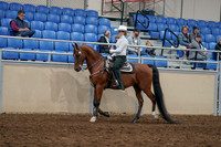 2020 - AB Morgan Horse - Sun, Sept 06 - 07470