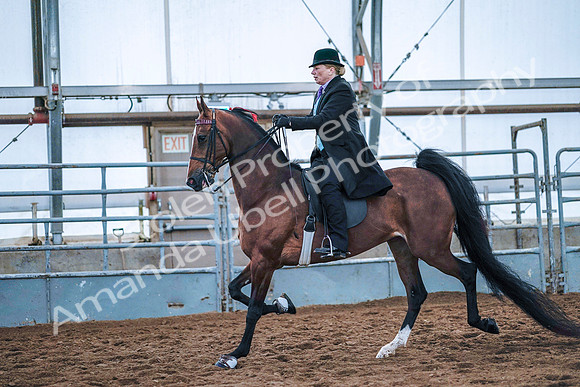 July 20, 2019 - 23877