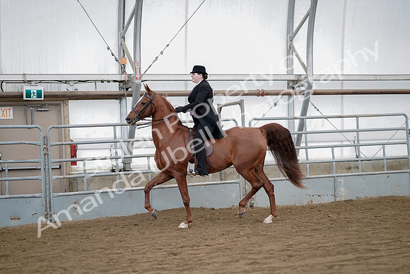 July 21, 2019 - 10472