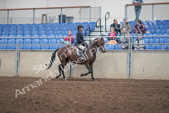 2019 Morgan Horse Show - Aug 31, 2019 - 19585