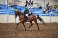 2020 - AB Morgan Horse - Sat, Sept 05 - 06873