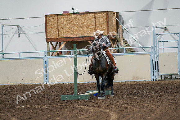 2020 - AB Morgan Horse - Fri, Sept 04 - 00356