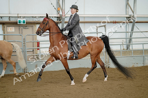 July 21, 2019 - 01635