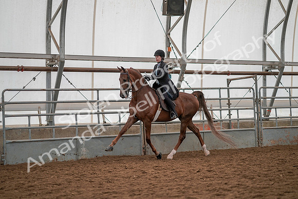 July 19, 2019 - 13147