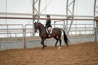 Class 036 - All Breed Hunter Pleasure - Junior Exhibitor