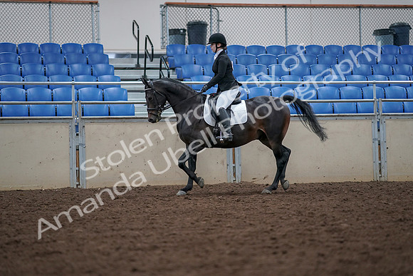 2019 Morgan Horse Show - Aug 30, 2019 - 18396