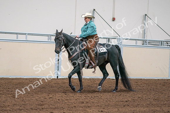 2020 - AB Morgan Horse - Sun, Sept 06 - 01588