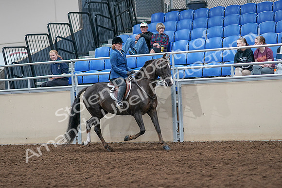 2020 - AB Morgan Horse - Sat, Sept 05 - 05202