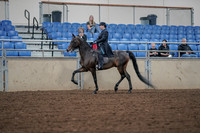 2019 Morgan Horse Show - Aug 30, 2019 - 15291