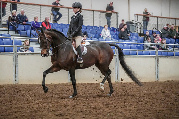 Spring Fling - Saturday - April 20, 2019  -  03760