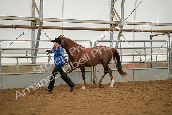 July 19, 2019 - 1268