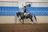 2019 Morgan Horse Show - Aug 30, 2019 - 23109