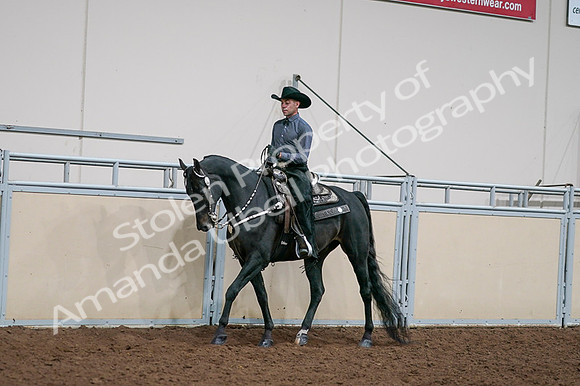 2020 - AB Morgan Horse - Fri, Sept 04 - 08522