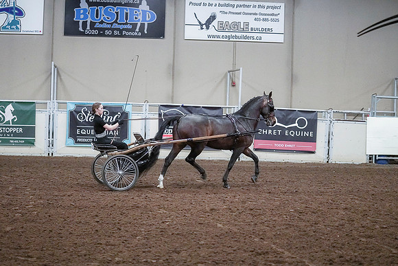 Spring Fling - Saturday - April 20, 2019  -  00330