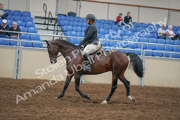 2020 - AB Morgan Horse - Sat, Sept 05 - 09318