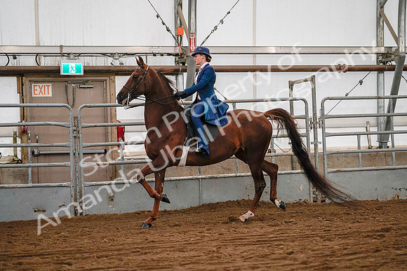 July 19, 2019 - 8683