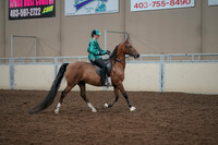 2019 Morgan Horse Show - Aug 30, 2019 - 30634