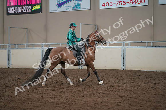 2019 Morgan Horse Show - Aug 30, 2019 - 30634