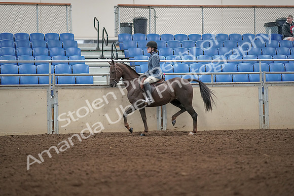 2019 Morgan Horse Show - Aug 31, 2019 - 04902