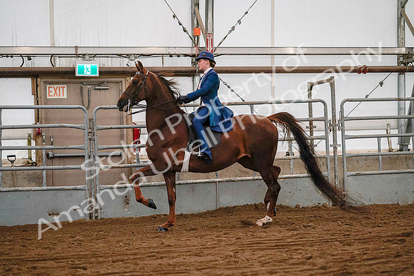 July 19, 2019 - 8684