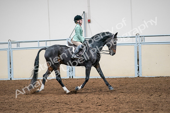 2020 - AB Morgan Horse - Sun, Sept 06 - 08057