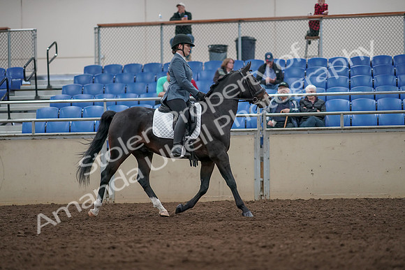 2019 Morgan Horse Show - Aug 31, 2019 - 07456