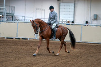 2020 - AB Morgan Horse - Fri, Sept 04 - 01461