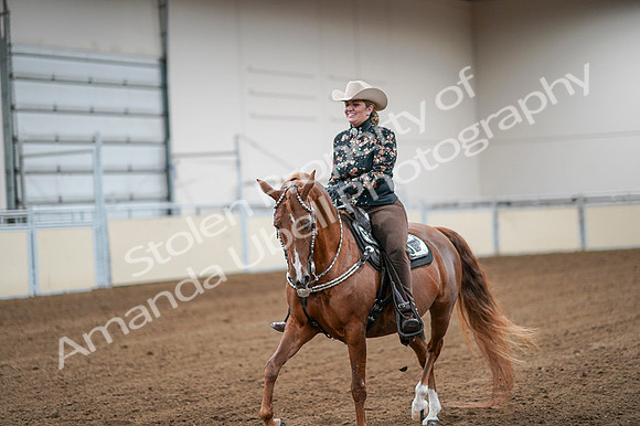 2020 - AB Morgan Horse - Fri, Sept 04 - 08509