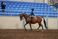 2020 - AB Morgan Horse - Sun, Sept 06 - 07682