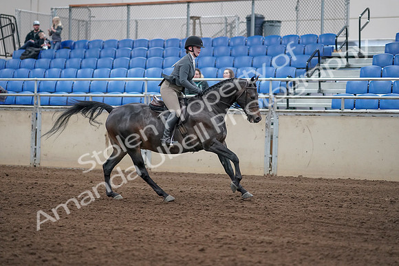 2019 Morgan Horse Show - Sept 01, 2019 - 11131