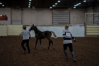 2019 Morgan Horse Show - Aug 31, 2019 - 00058