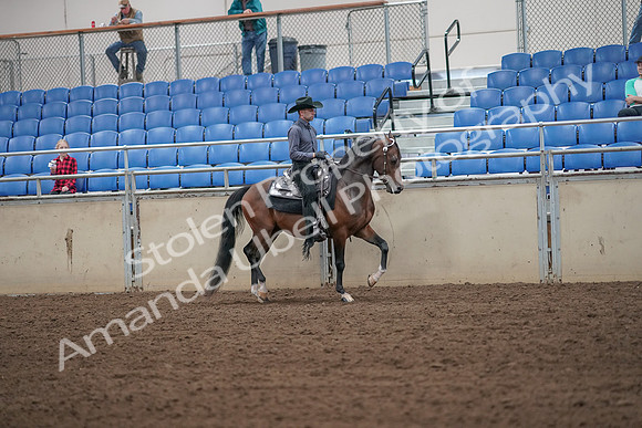 2019 Morgan Horse Show - Aug 31, 2019 - 06223