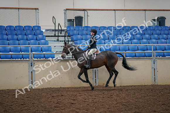 2019 Morgan Horse Show - Aug 30, 2019 - 23451