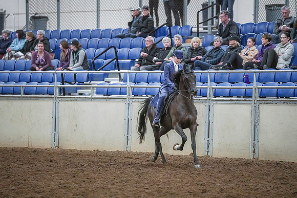 Spring Fling - Saturday - April 20, 2019  -  03953