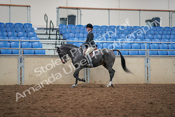 2019 Morgan Horse Show - Aug 30, 2019 - 23101