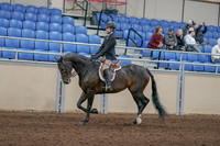 2020 - AB Morgan Horse - Sun, Sept 06 - 00892
