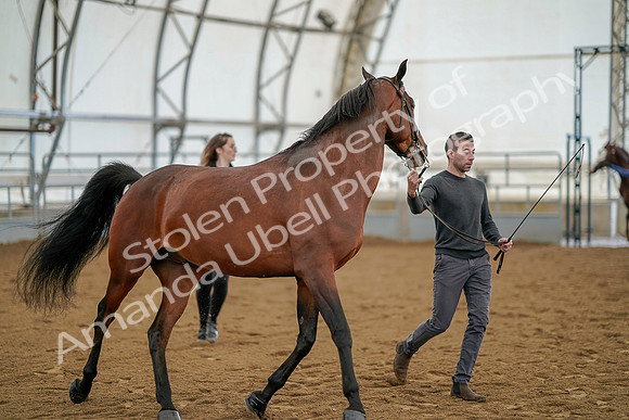 July 19, 2019 - 962