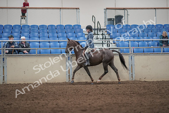 2019 Morgan Horse Show - Aug 31, 2019 - 07199