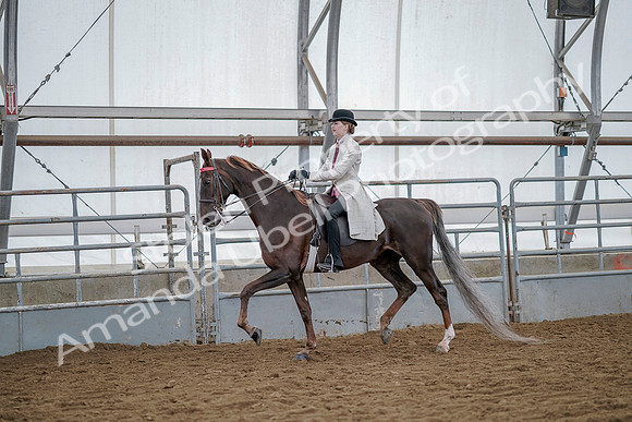 July 20, 2019 - 14403