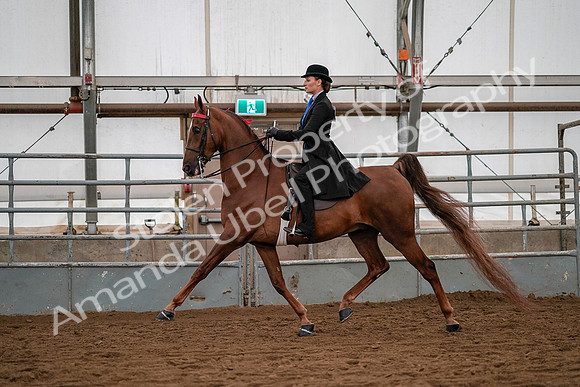 July 19, 2019 - 10316