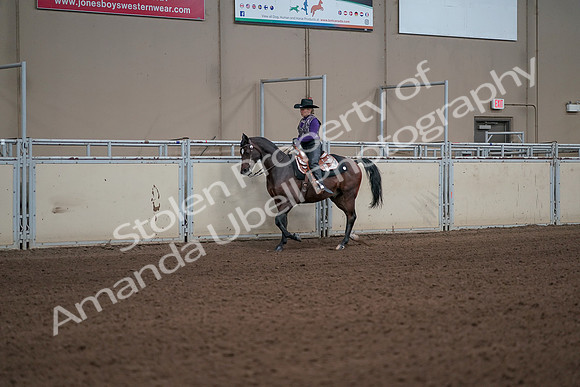 2019 Morgan Horse Show - Aug 31, 2019 - 10584