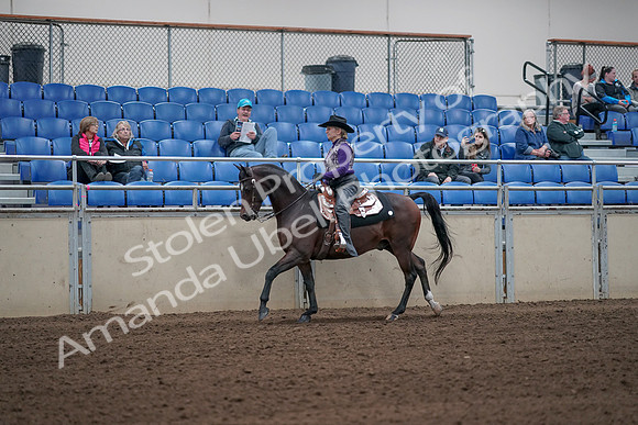 2019 Morgan Horse Show - Aug 31, 2019 - 10627