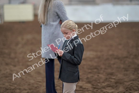 2019 Morgan Horse Show - Aug 31, 2019 - 03947