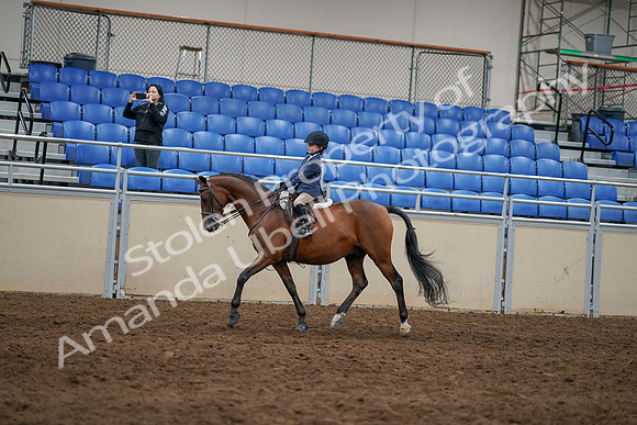 2020 - AB Morgan Horse - Sun, Sept 06 - 07834